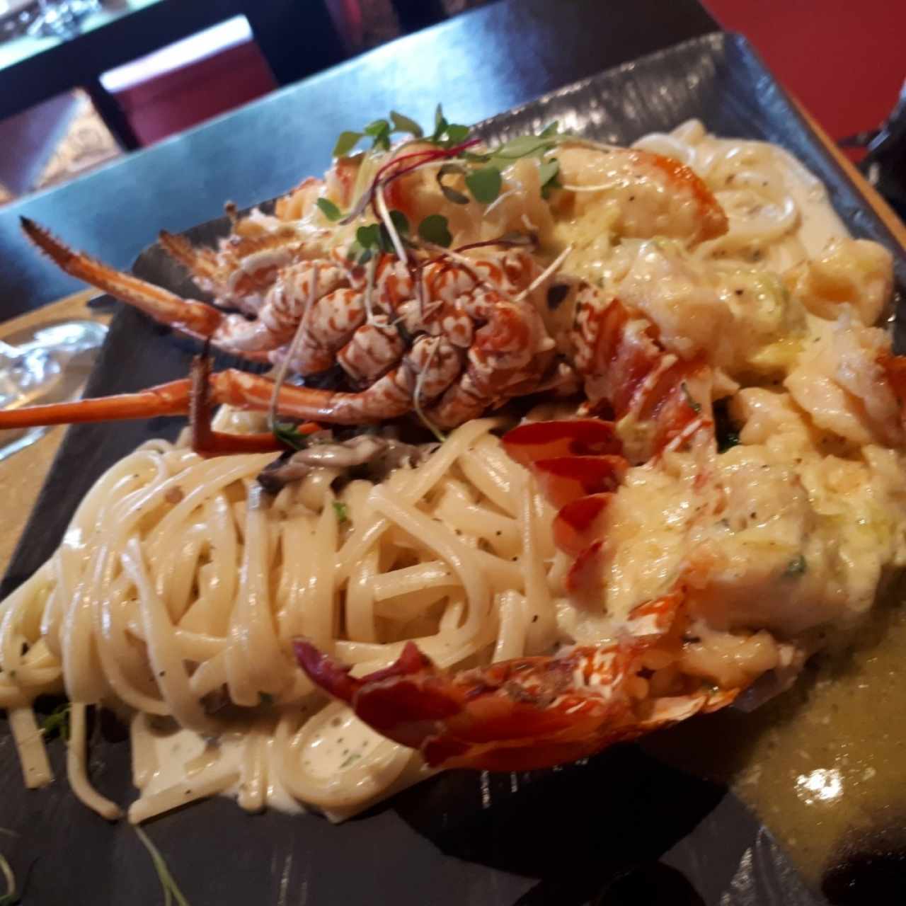 Pasta a la funghi con langosta
