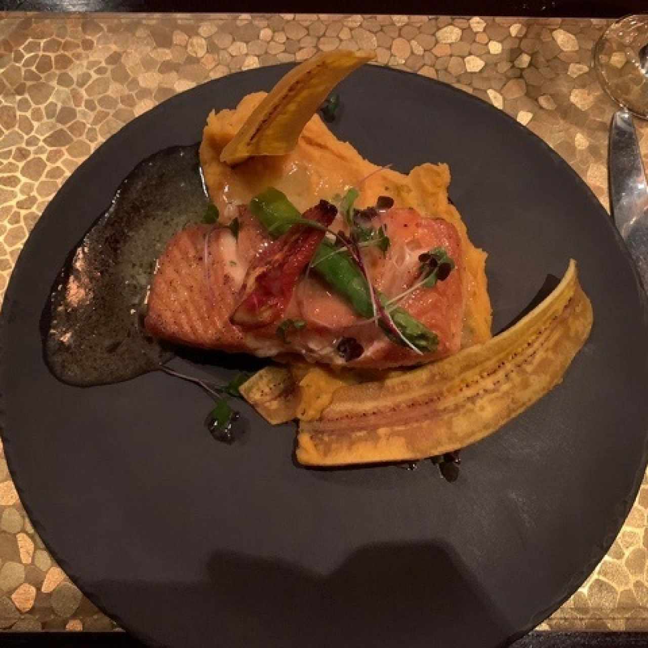 Salmon 
