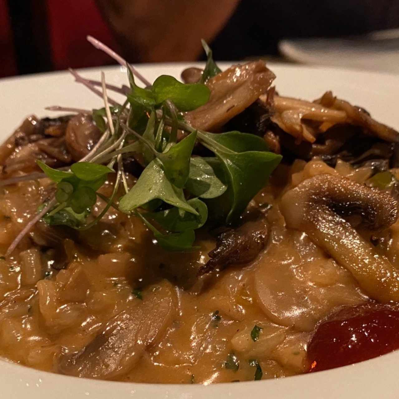 Risotto Funghi