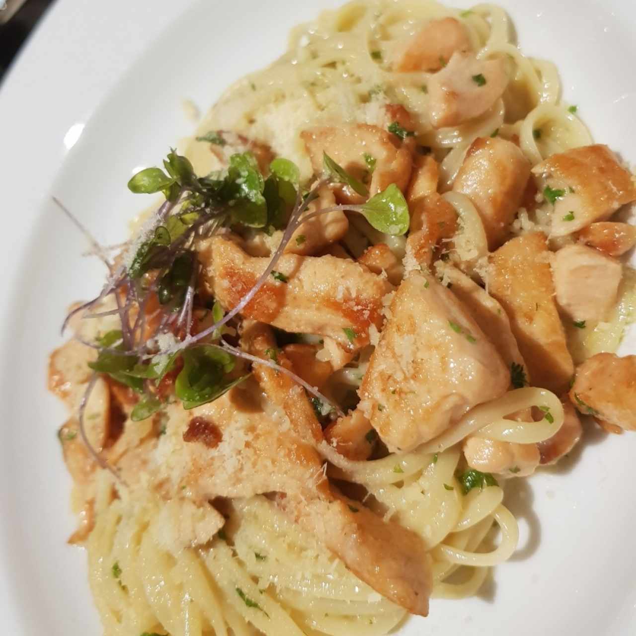 Pasta de Salmón 