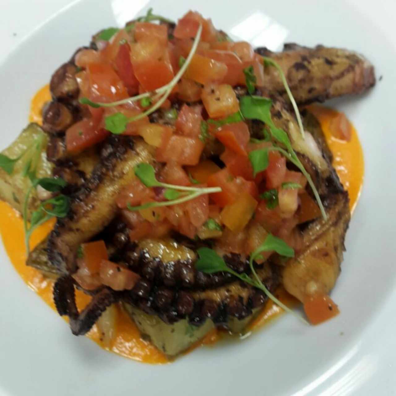 Pulpo al Grill
