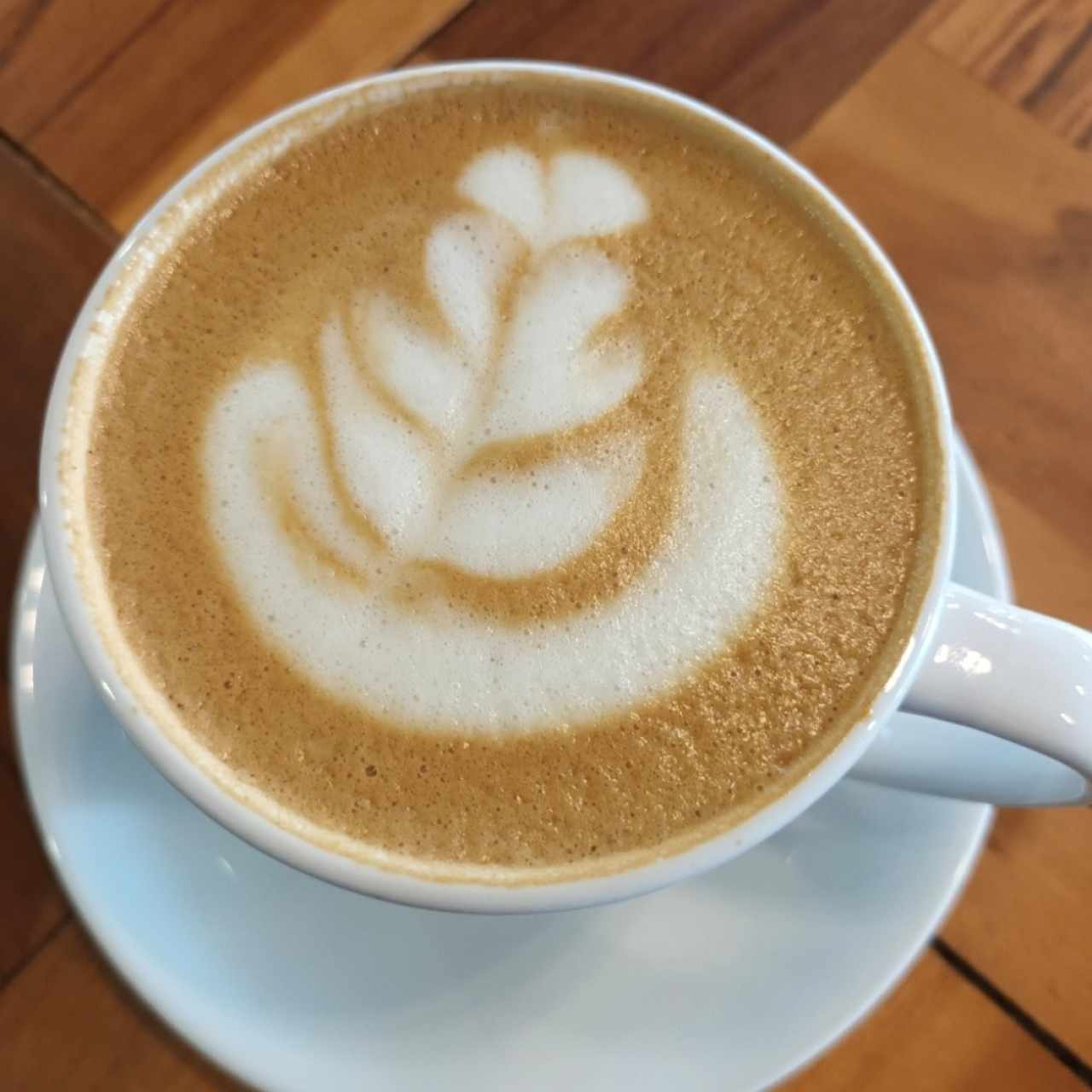 capuchino 
