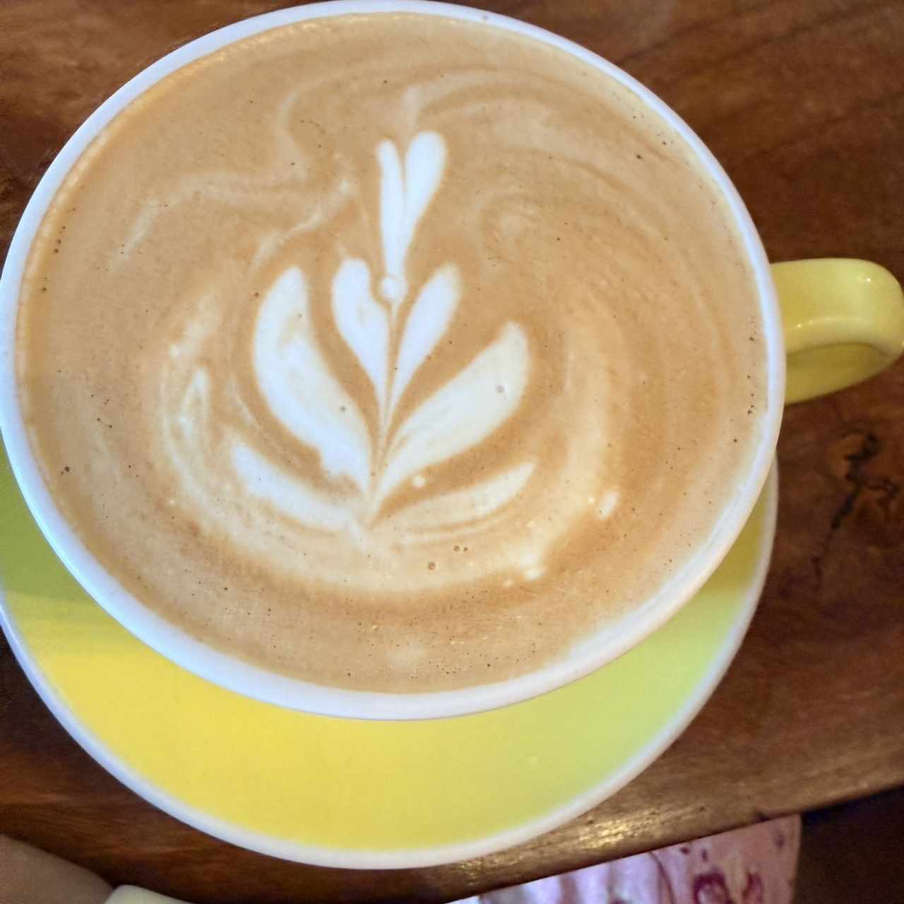 Capuchino 
