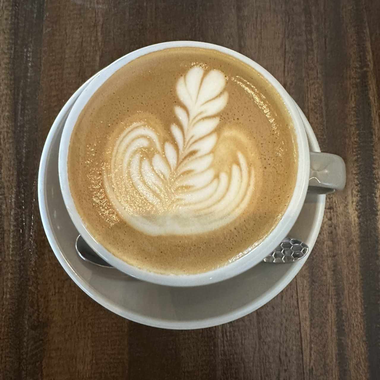 Capuccino 