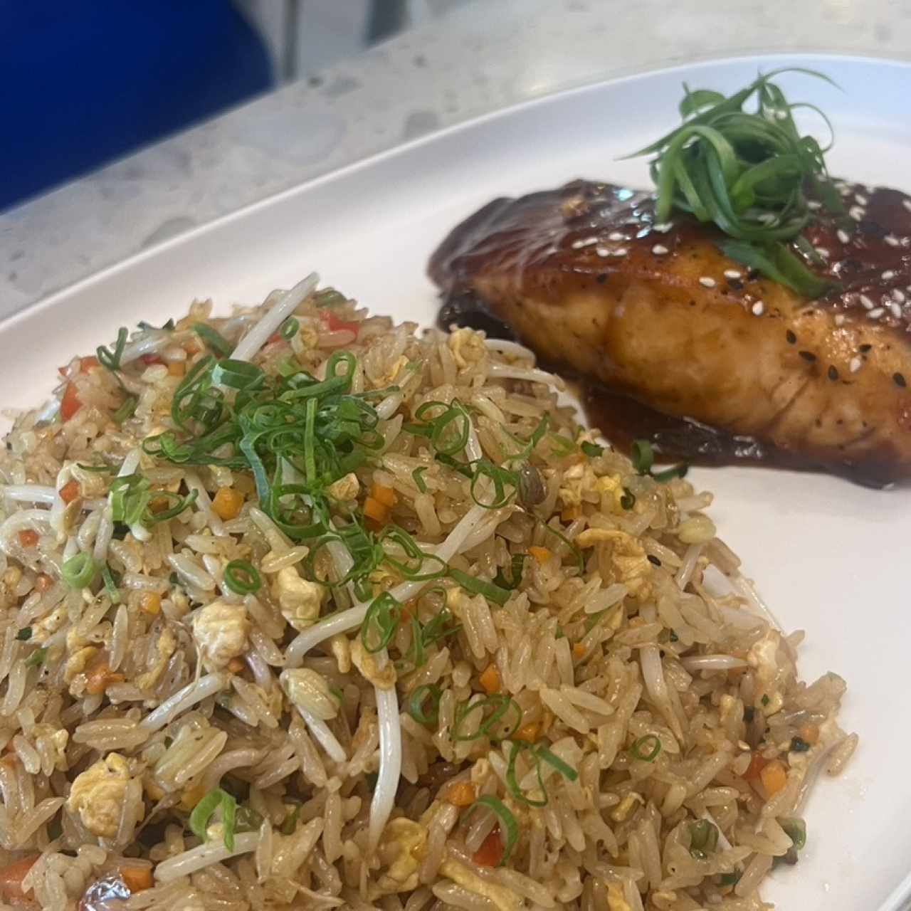 Mixto (pollo, filete y langostinos)