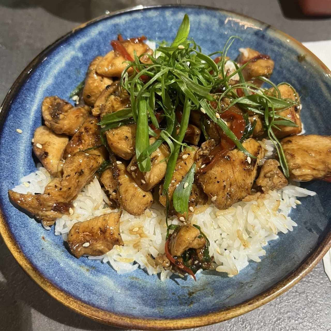 Platos Calientes - Yakitoridon