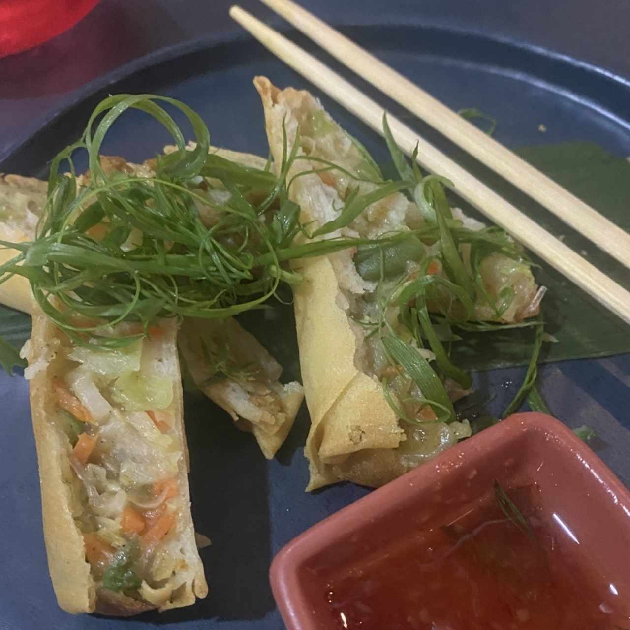 Entradas - Spring Rolls