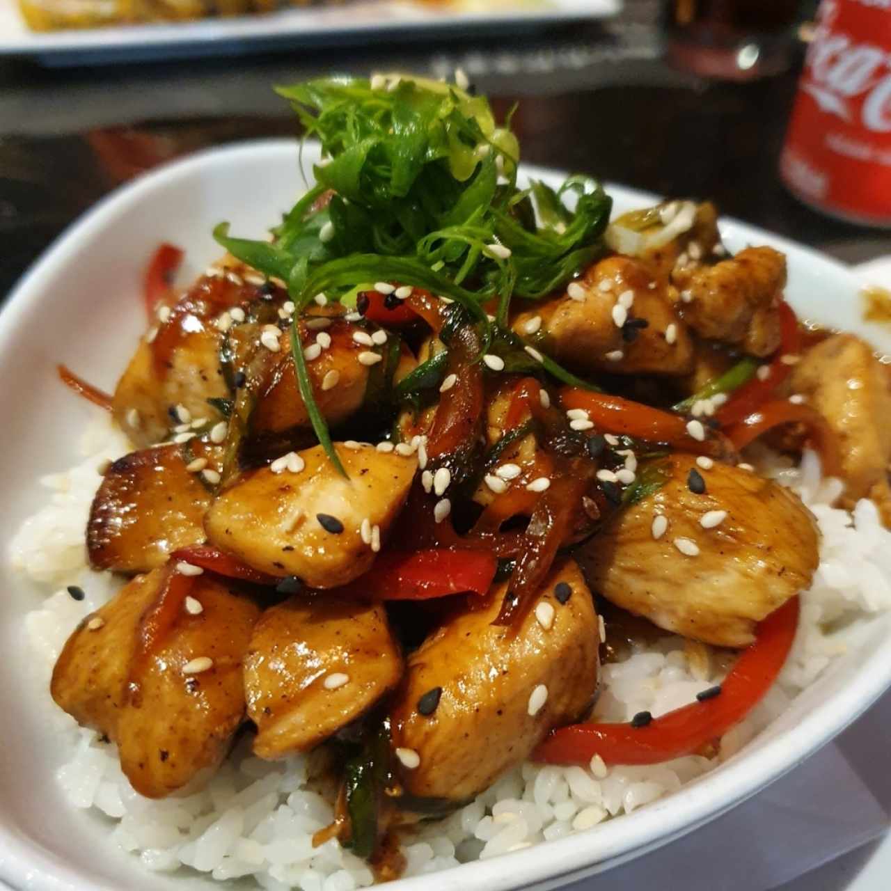 Platos Fuertes - Yakitoridon