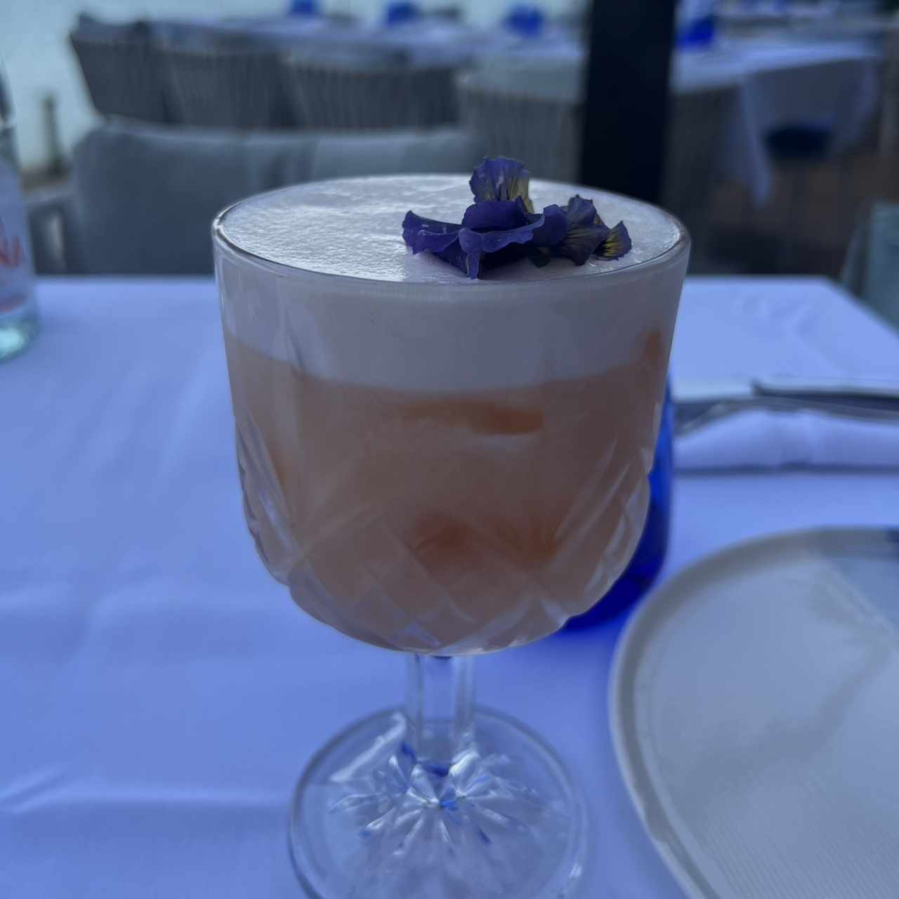 Bellini in the House 