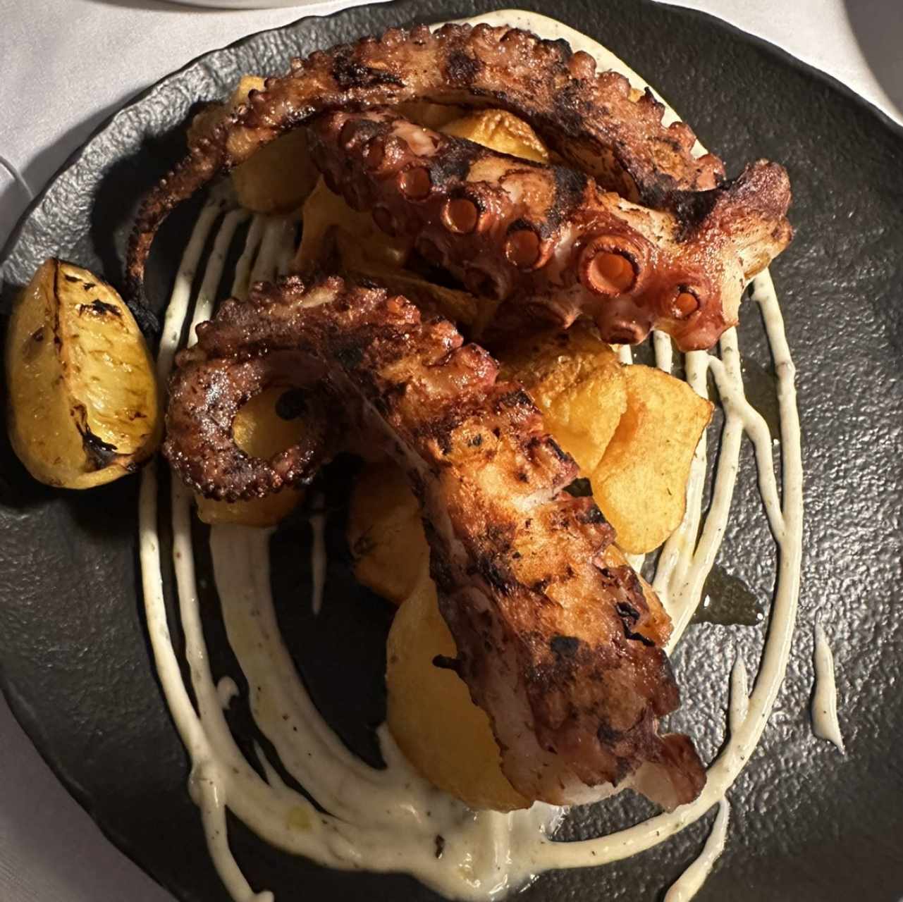 Pulpo