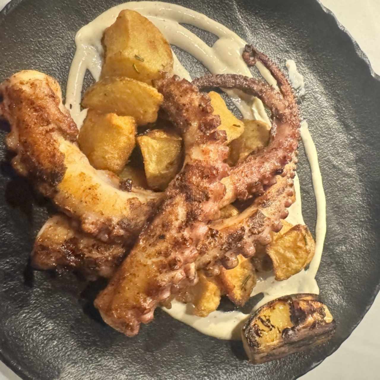 Pulpo