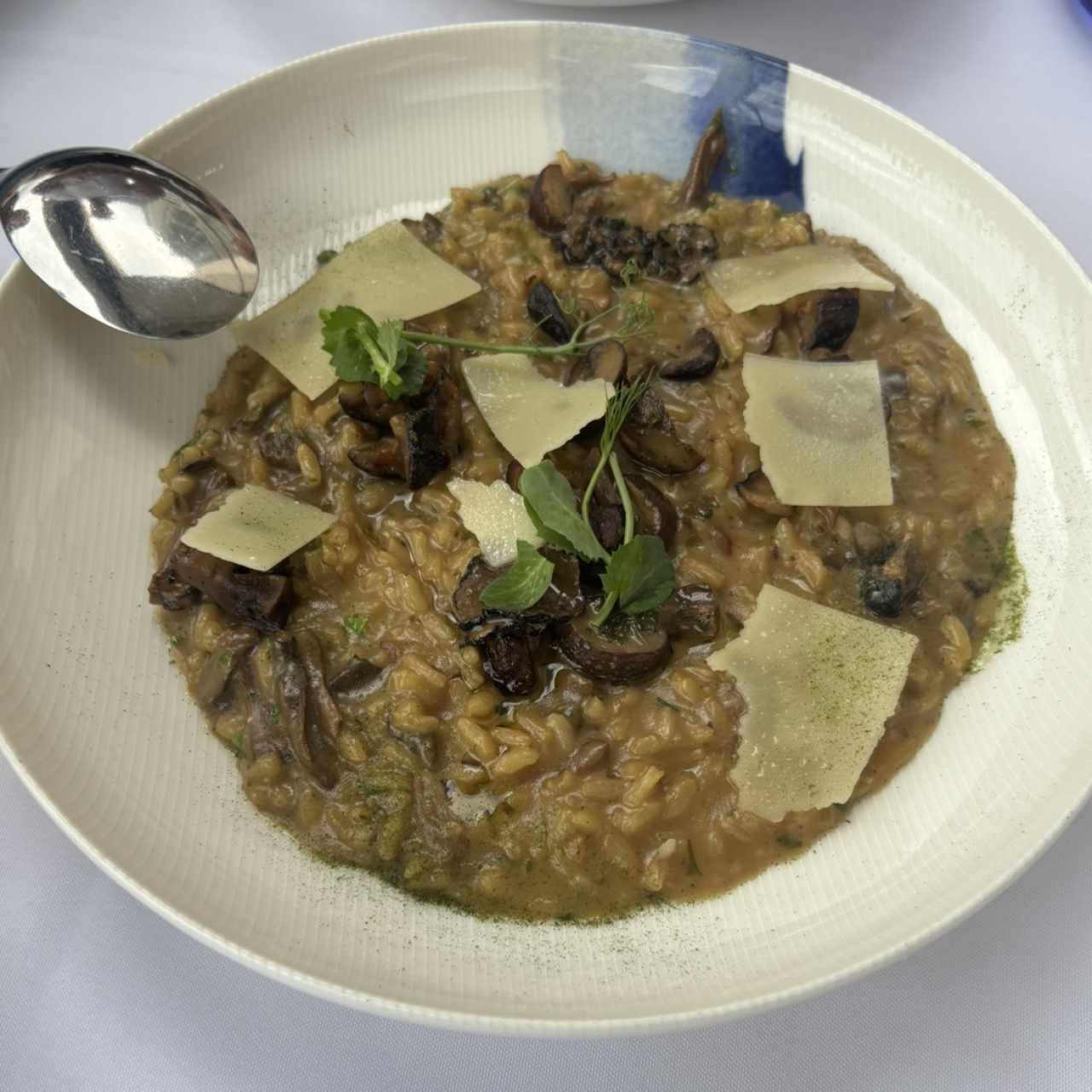 Risotto Porcini E Tartufo