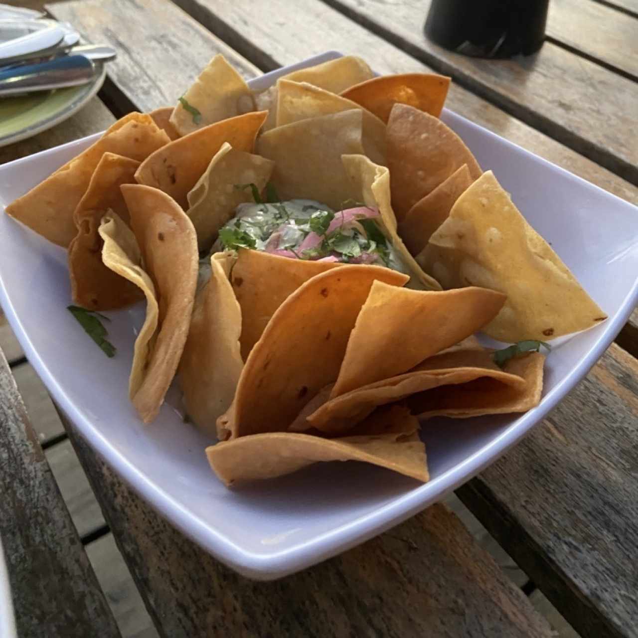 Ceviches - Alioli de Cilantro