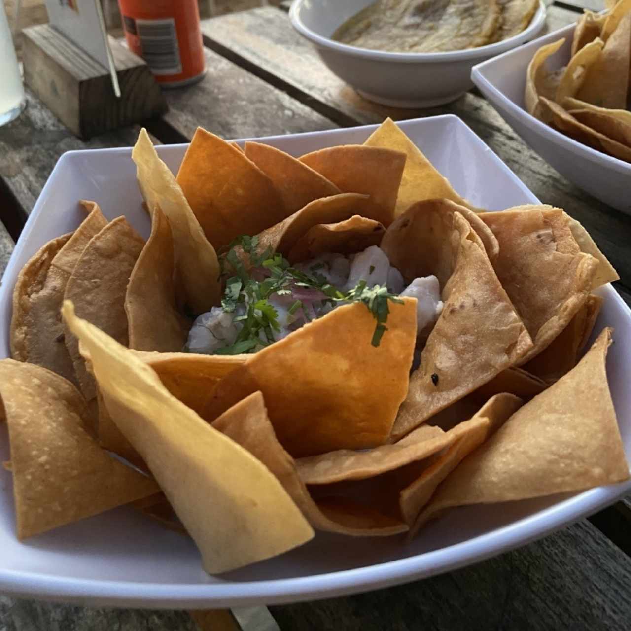 Ceviches - Panameño