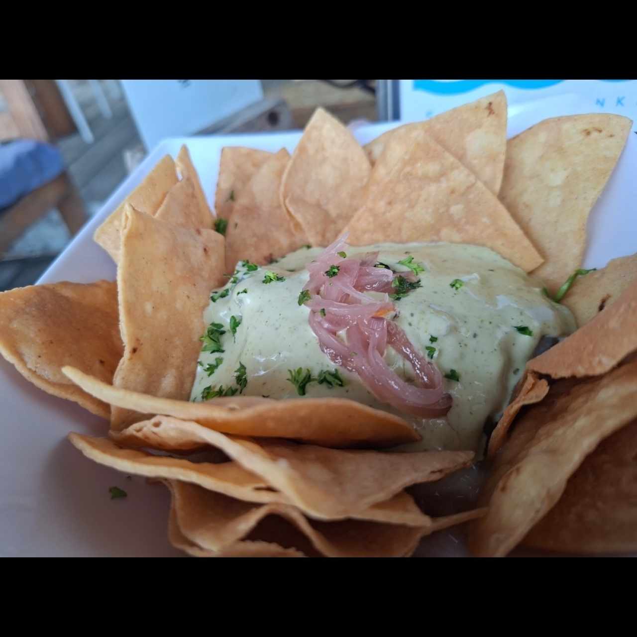 Ceviches - Alioli de Cilantro