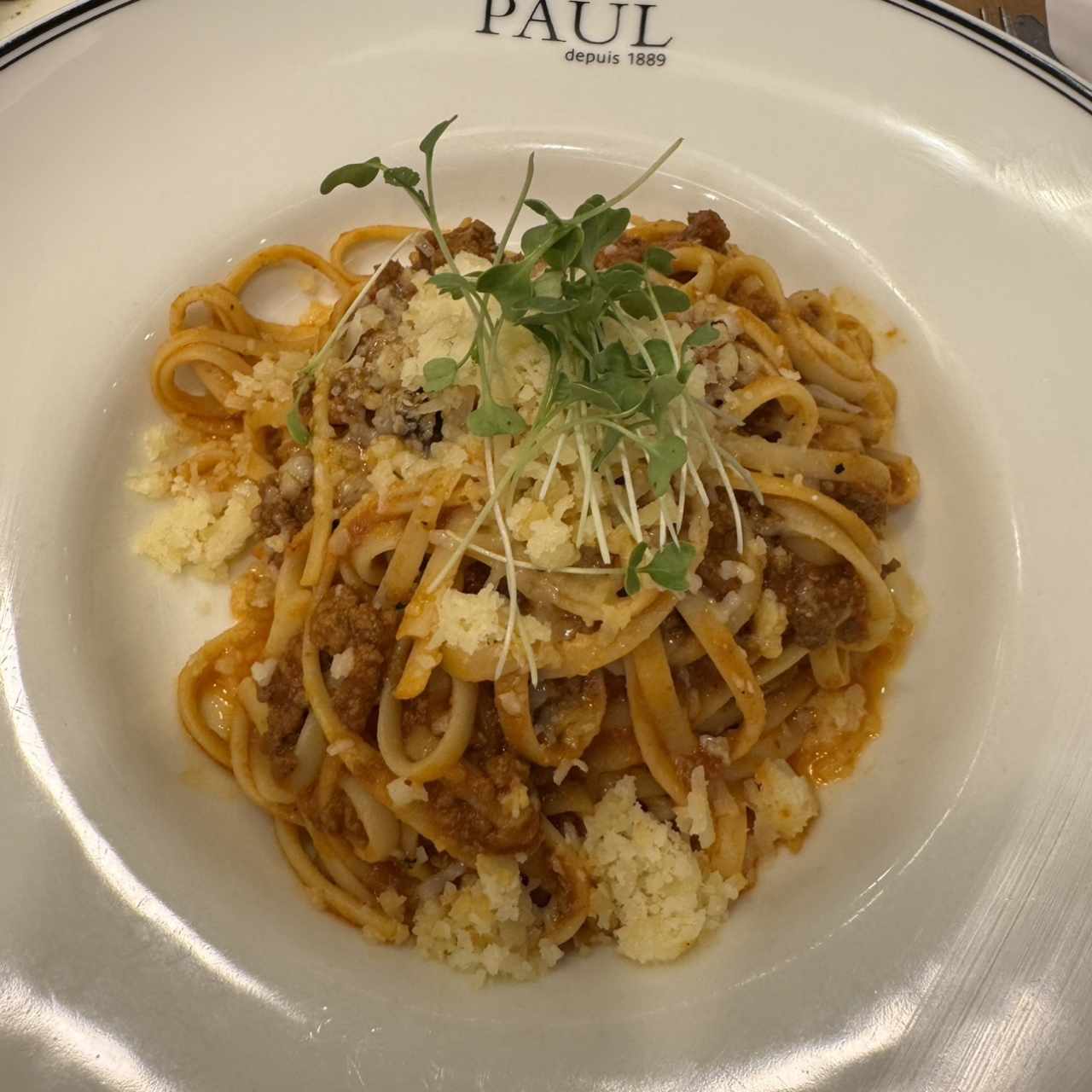 Bolognese 
