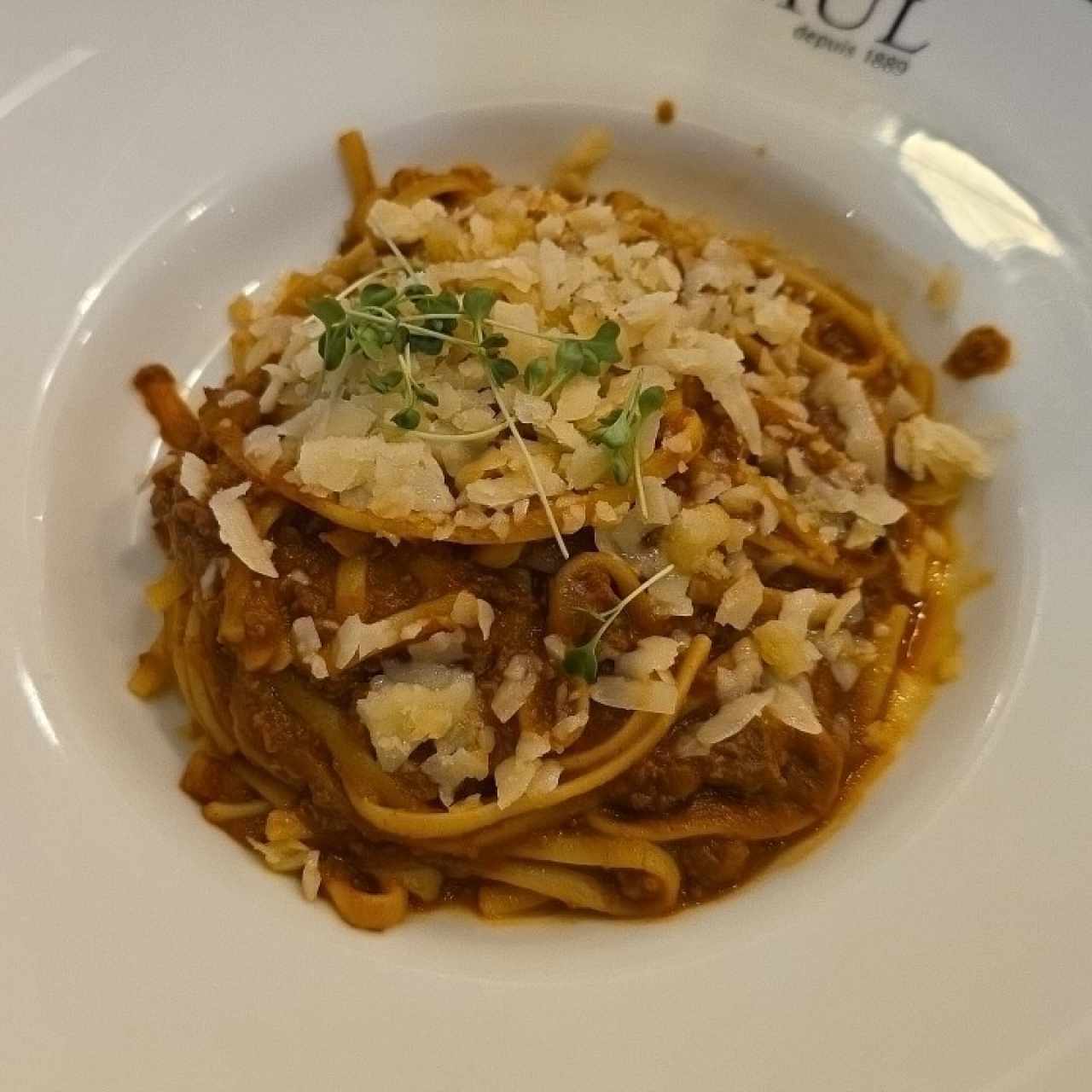 Bolognesa