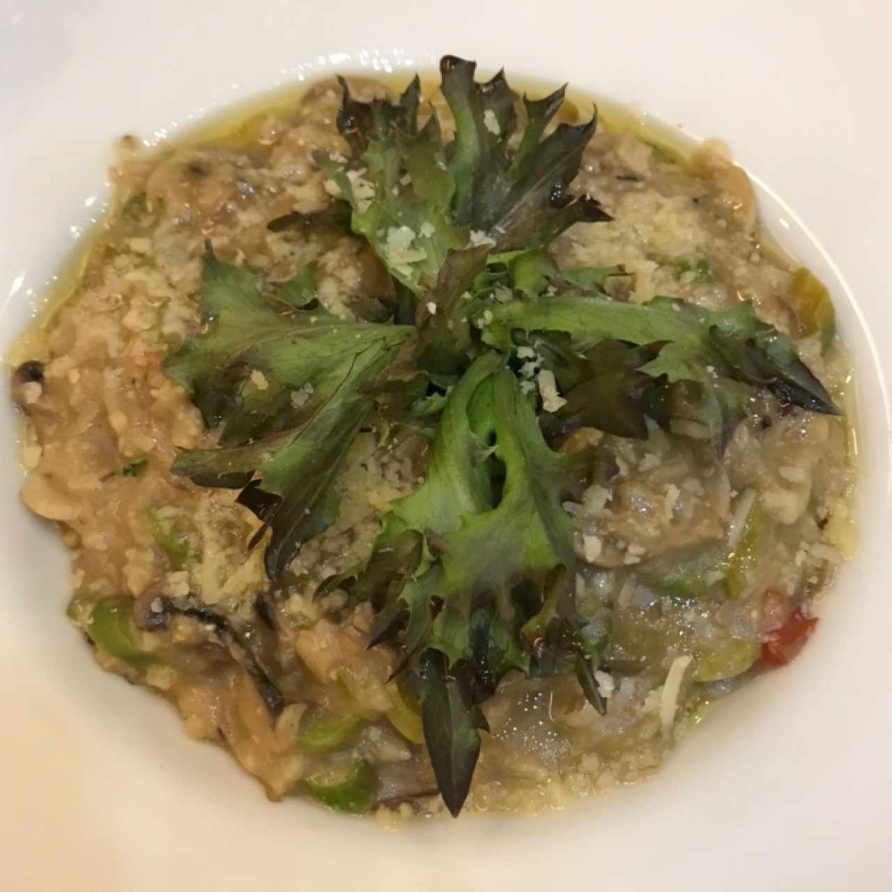 Risotto de Champiñones
