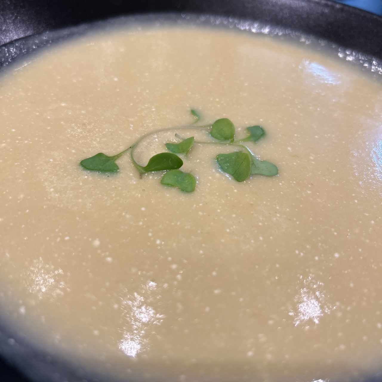 Sopas - Vichyssoise