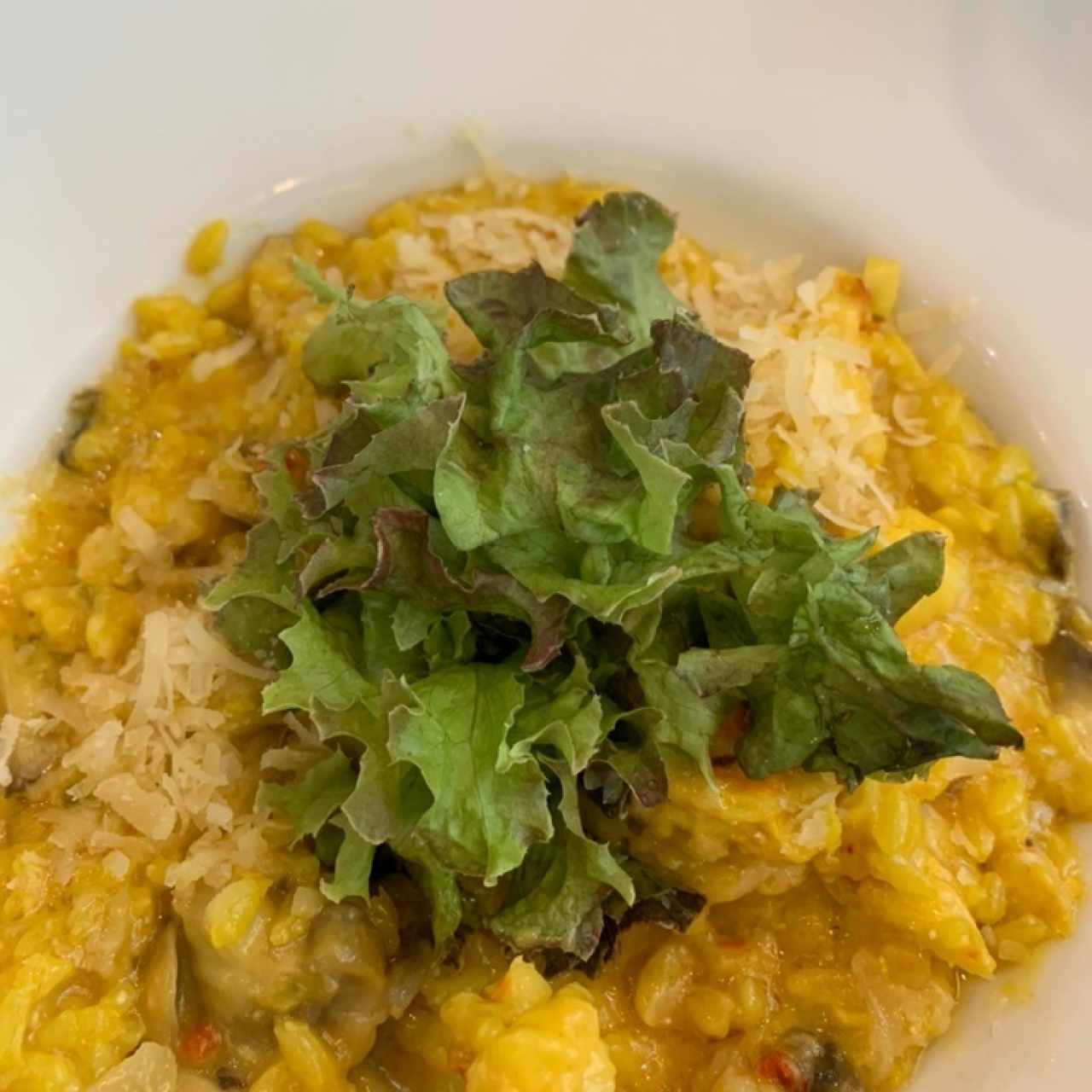 risotto de langosta