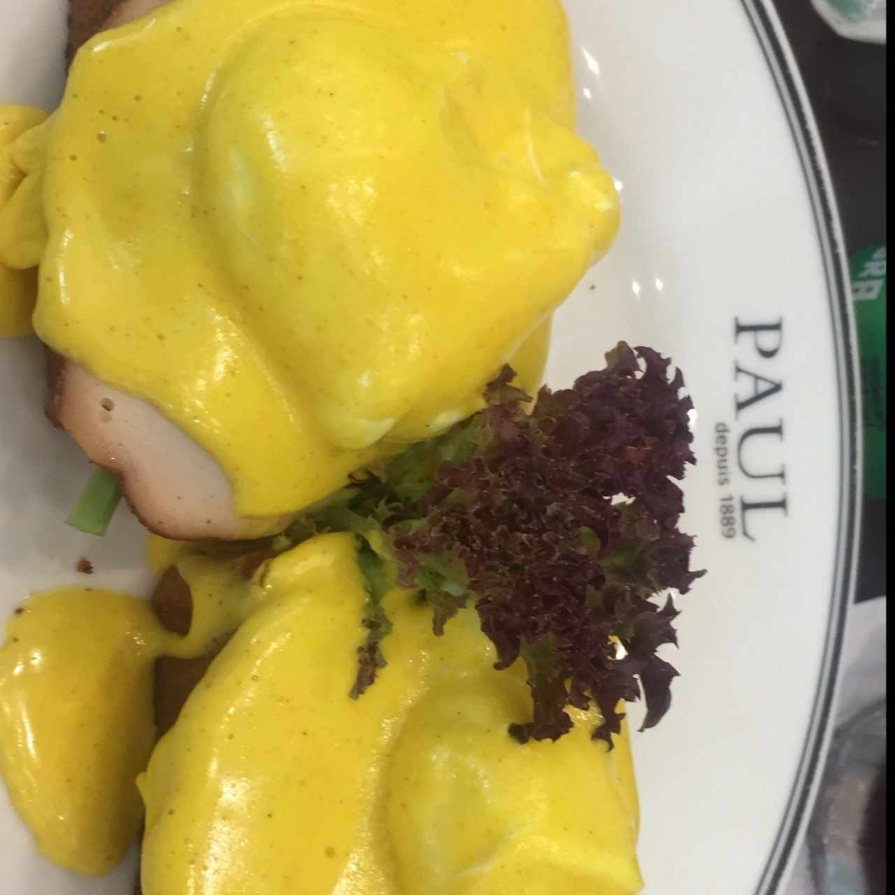 huevos beneddict