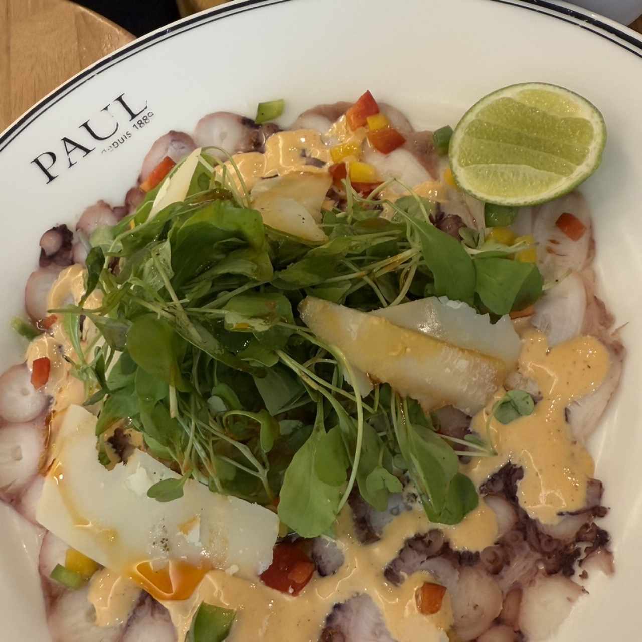 Entradas - Carpaccio de Poulpe
