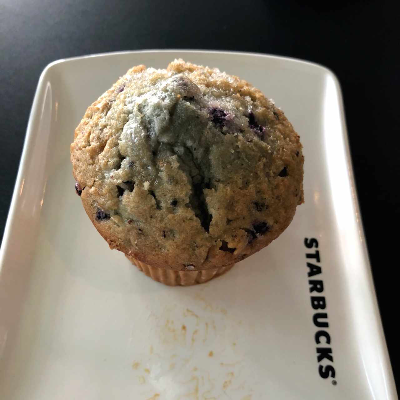 blueberry muffin
