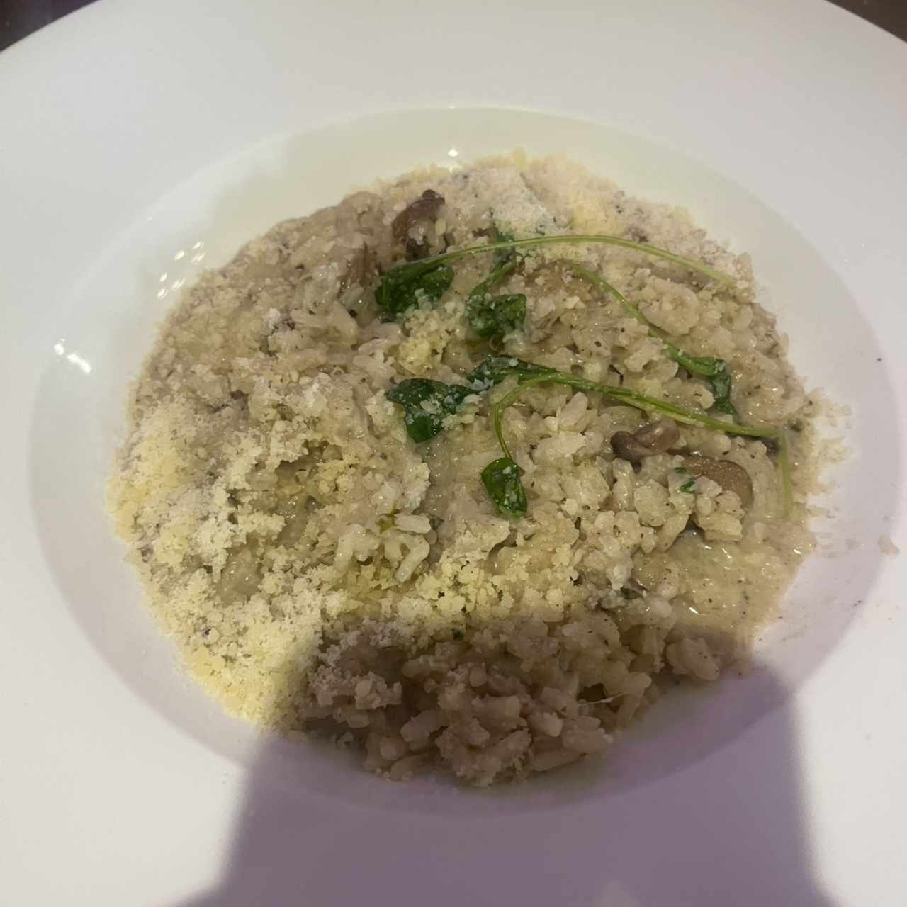 Risotto Funghi