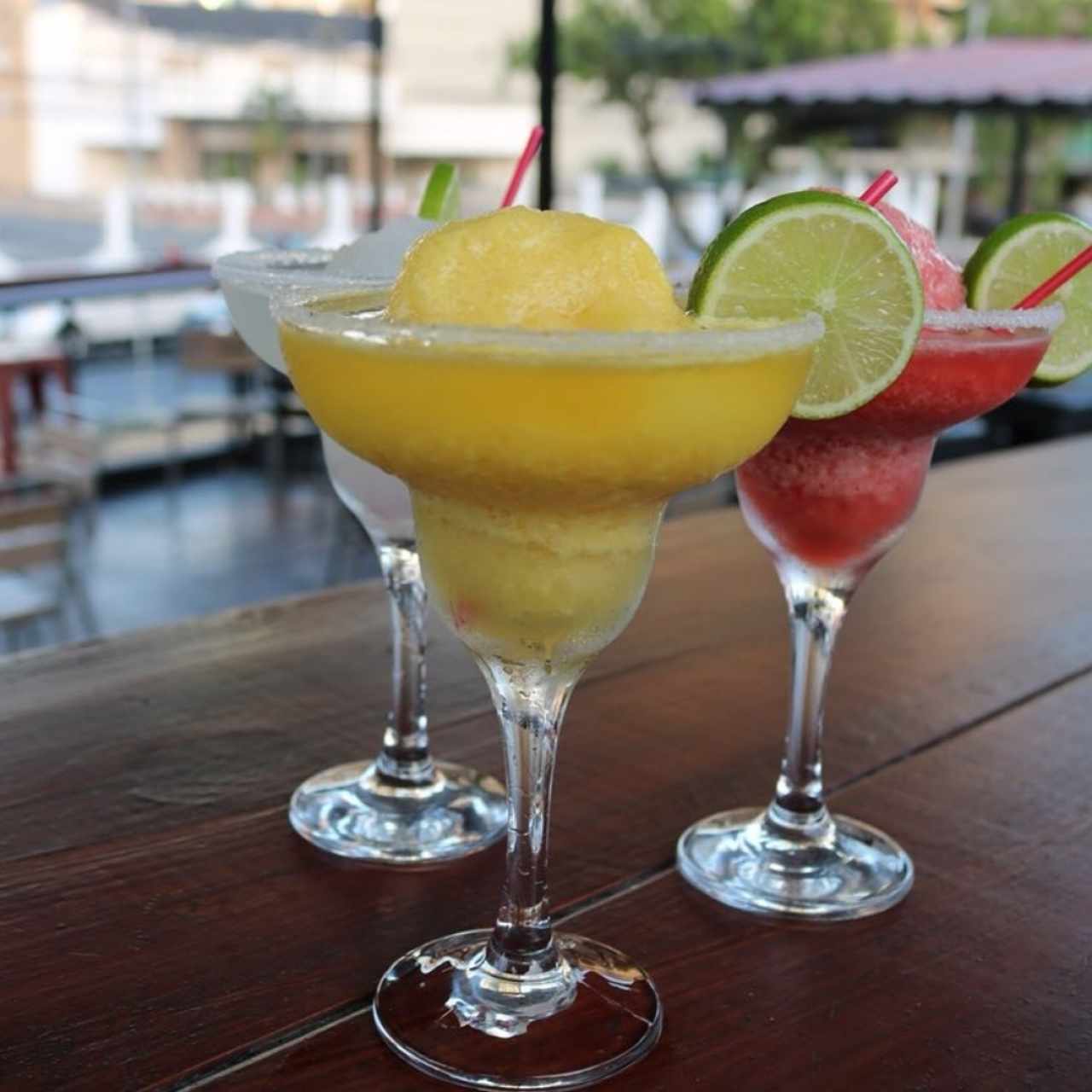 Variedad de Margaritas