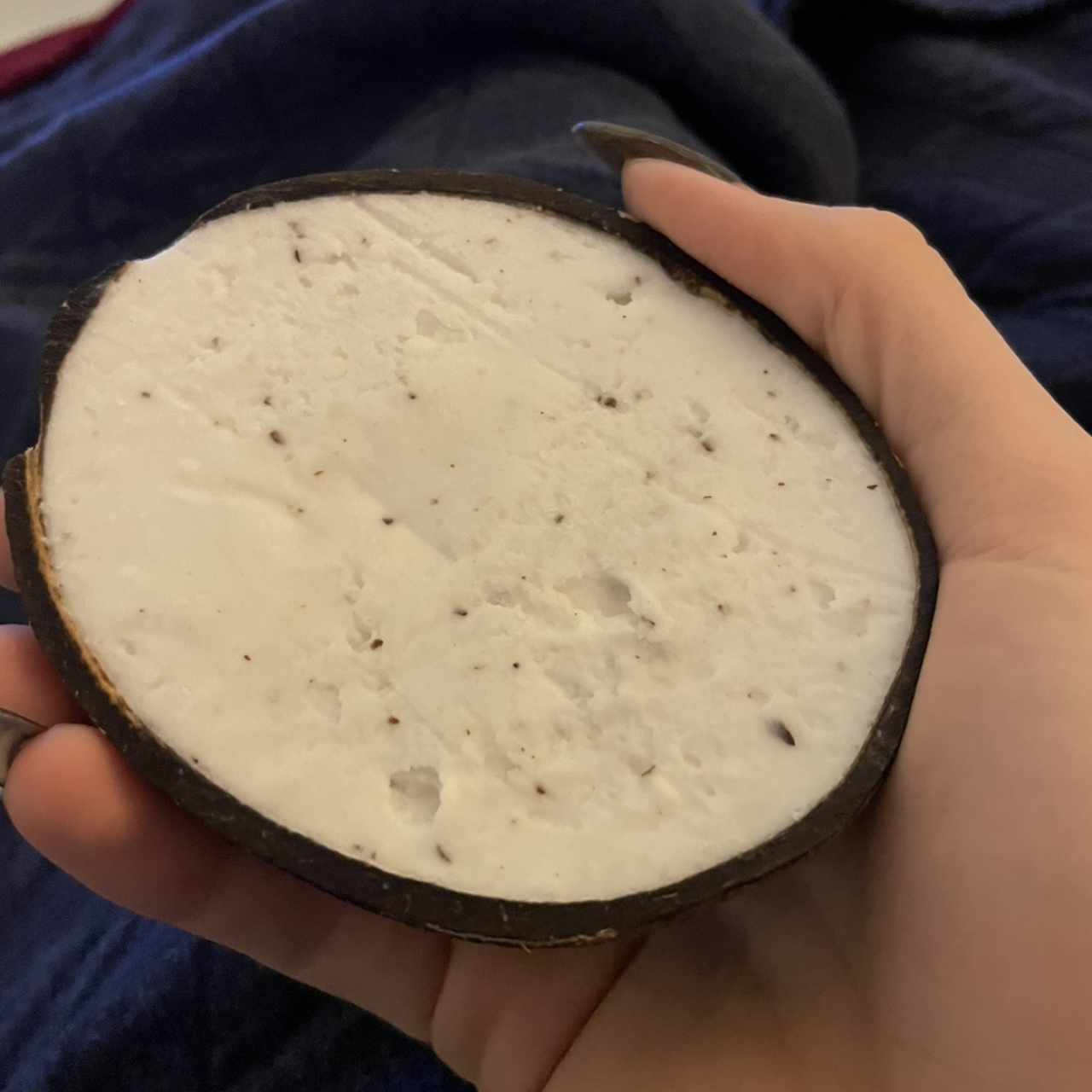 Helado de Coco Marca Concha e' Coco