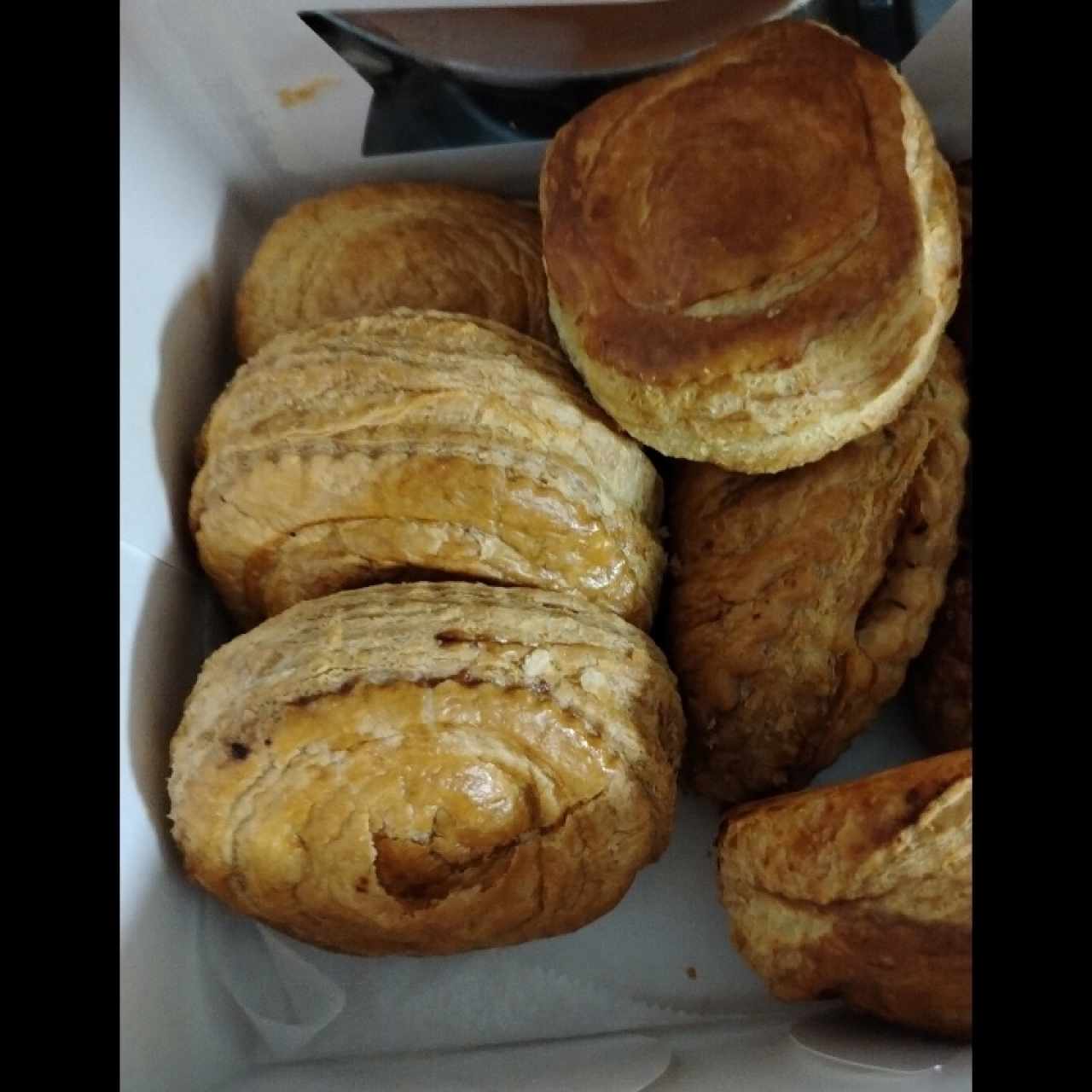 Pastelitos de carne 