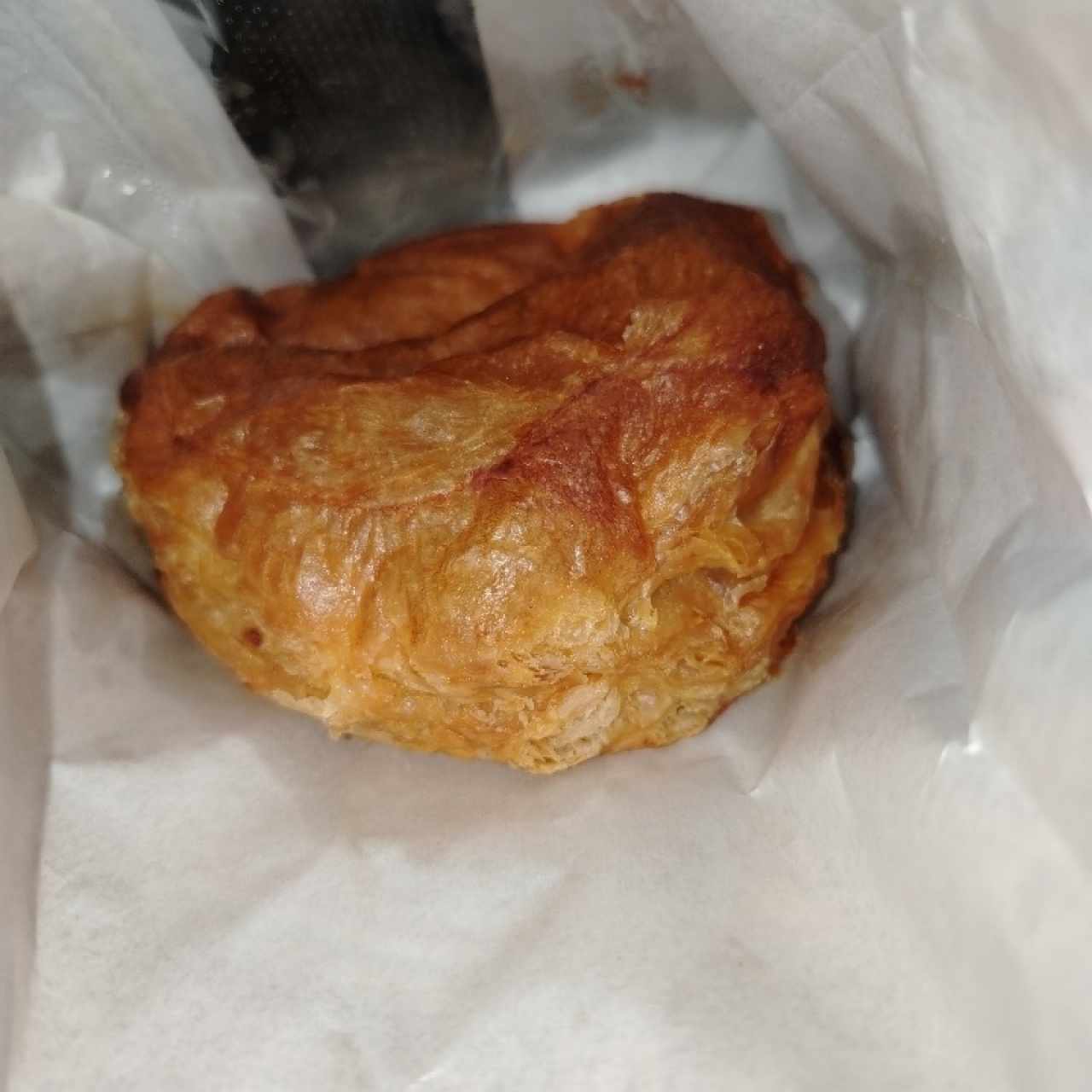 Pastelitos de pollo 