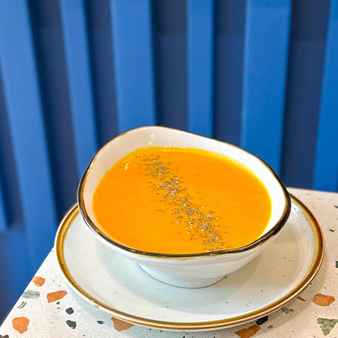 Sopa del día