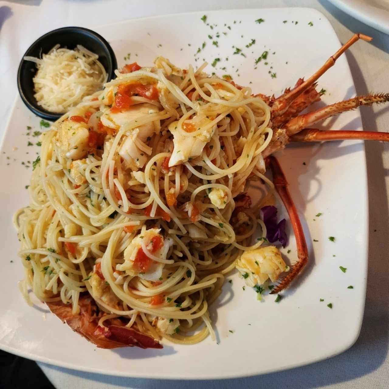 pasta con Langosta 