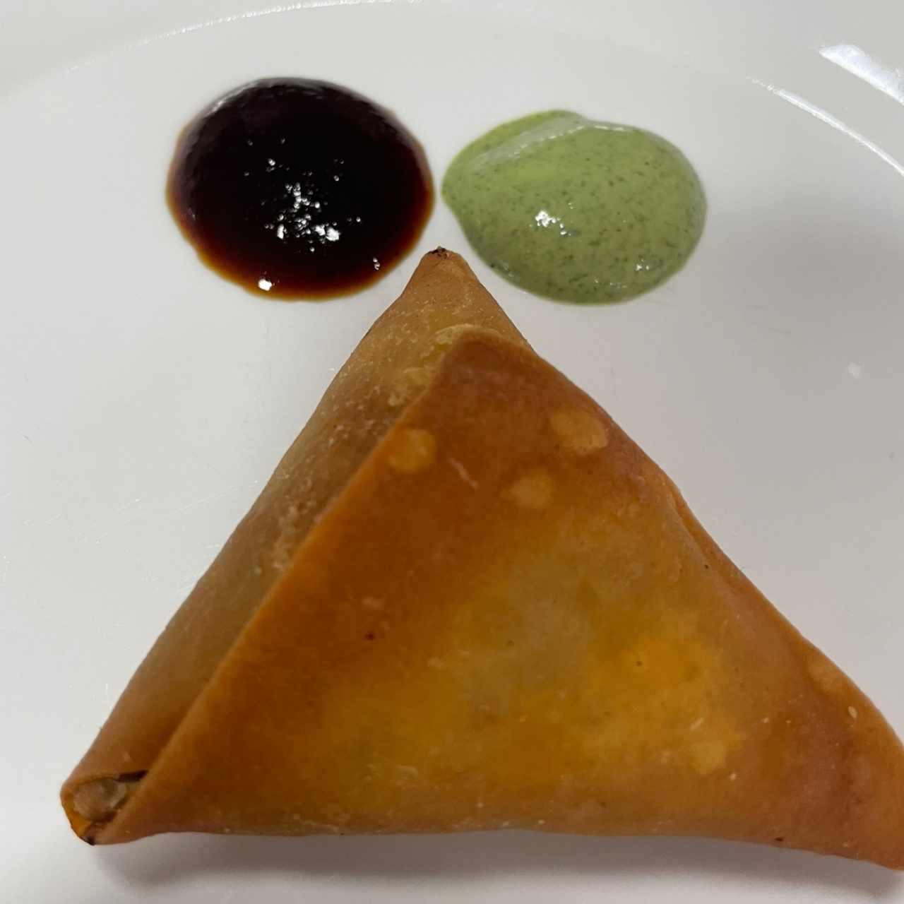 Aperitivos/ Apperitizes - 13. Chicken Samosa