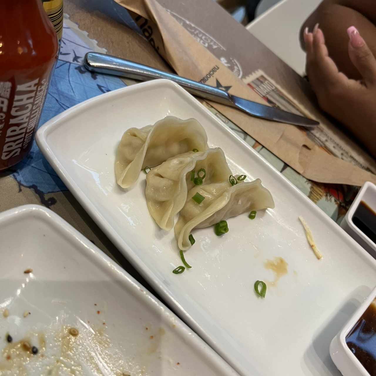 Gyozas de Pollo (5 unidades)