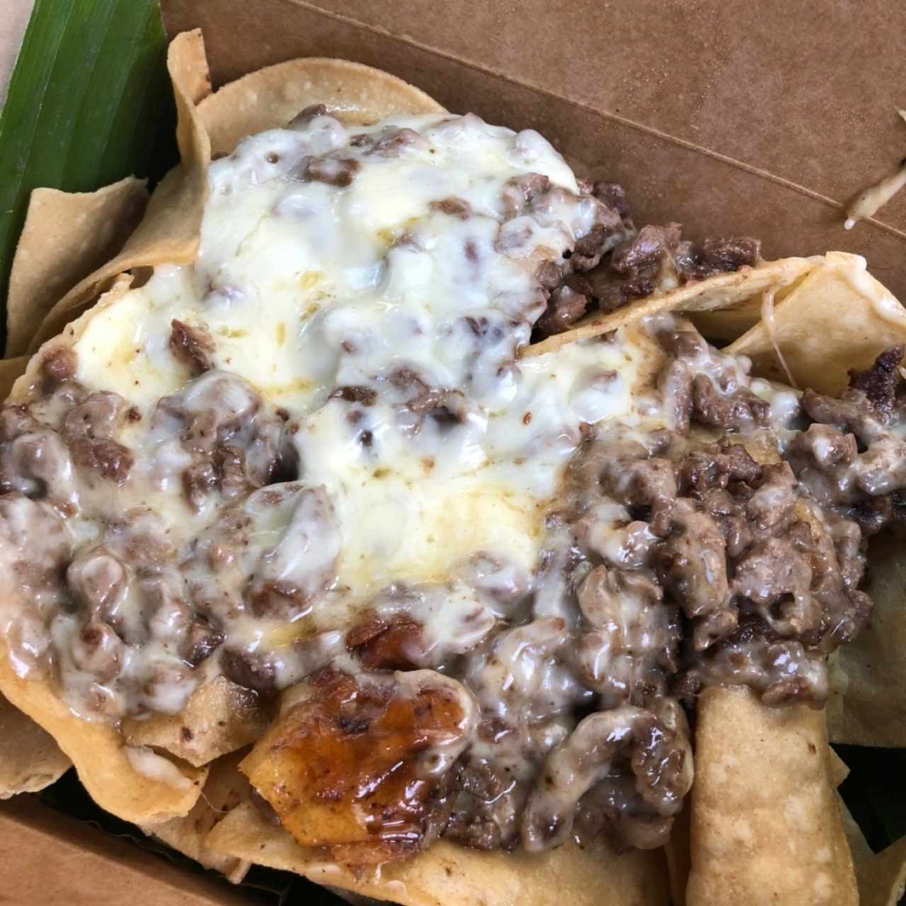 Nachos con Carne