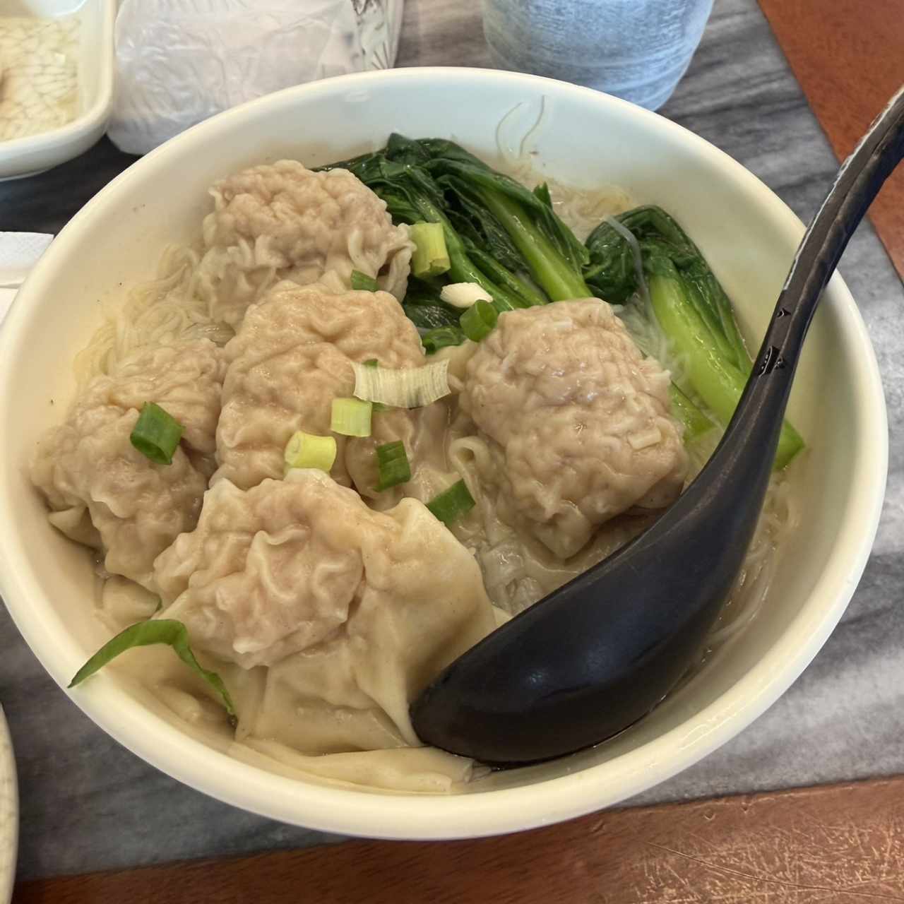 Sopa De Wanton De Puerco Con Fideos