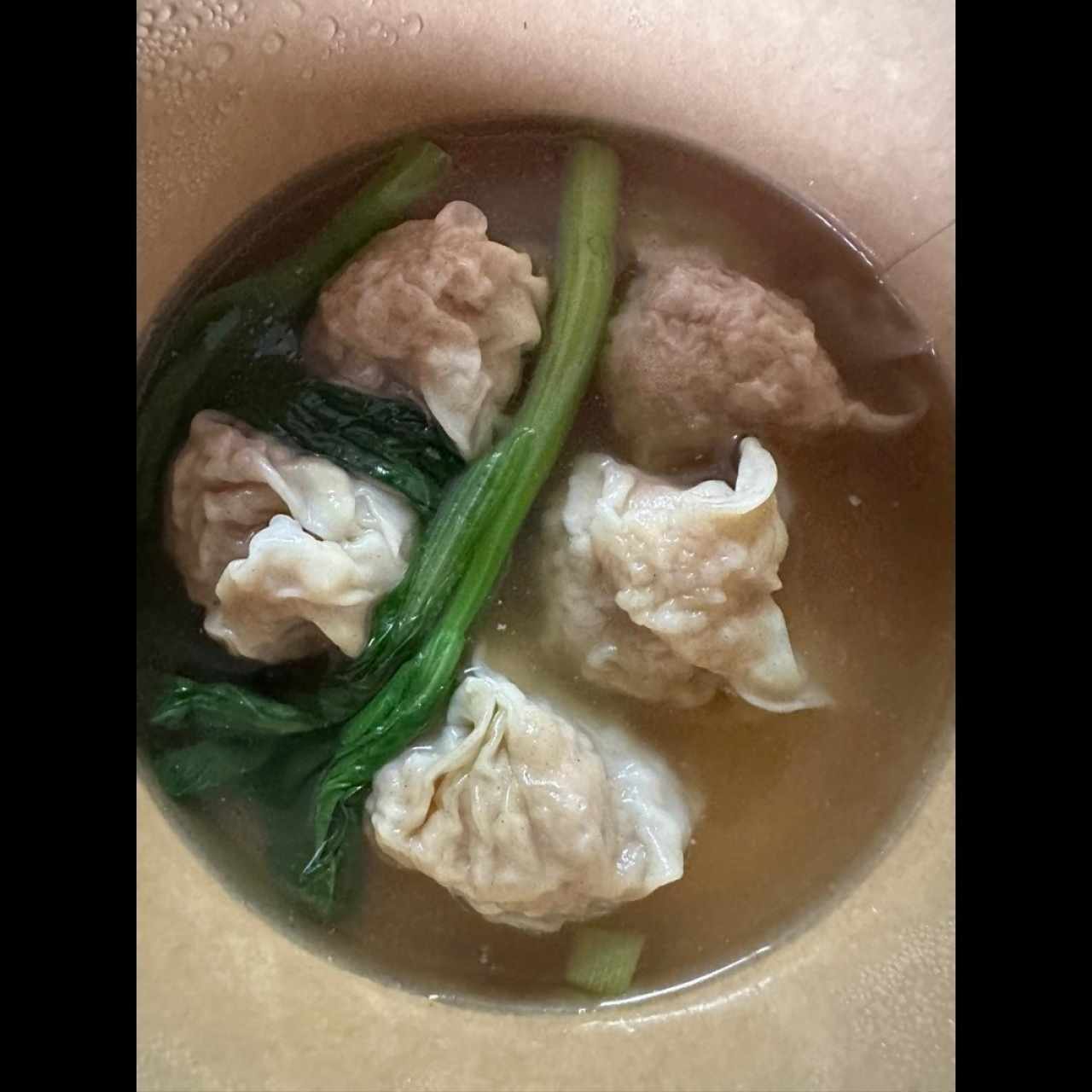Sopa De Wanton De Puerco Solo