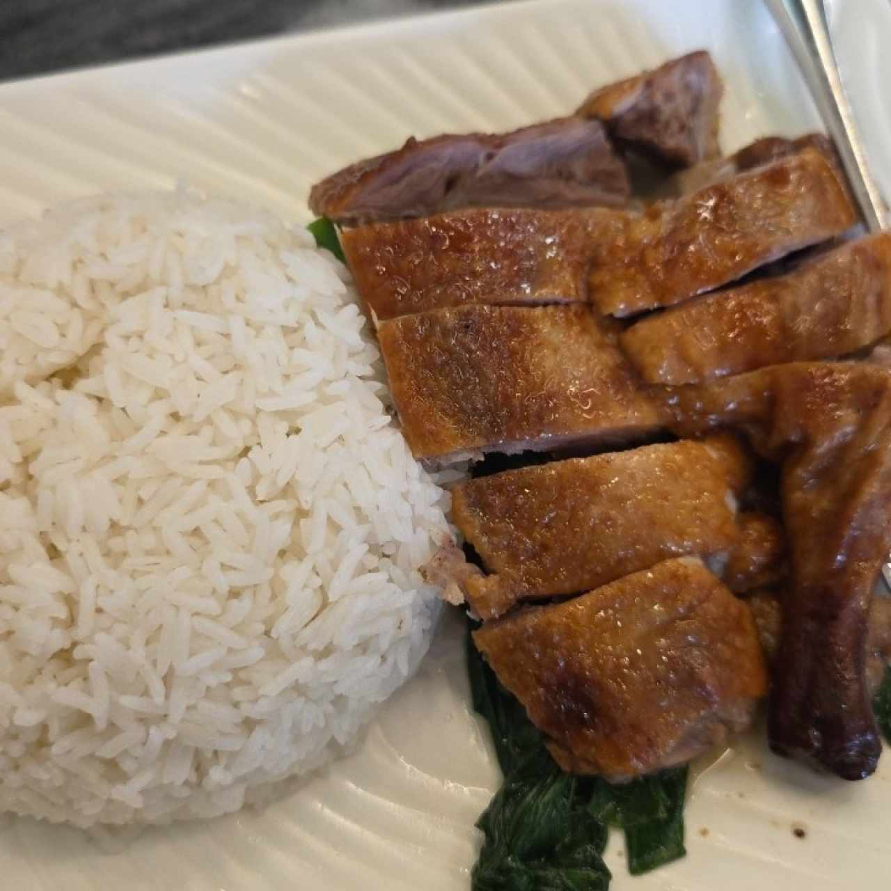 Arroz Con Pato Solo