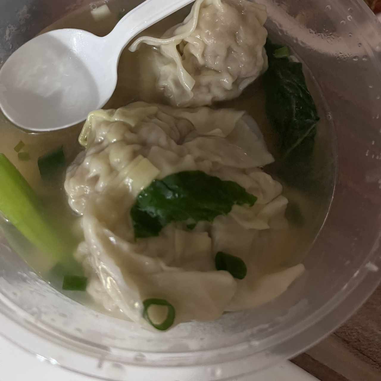 Sopa De Wanton De Puerco Con Fideos