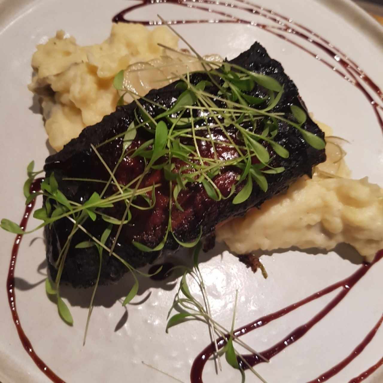 Salmon