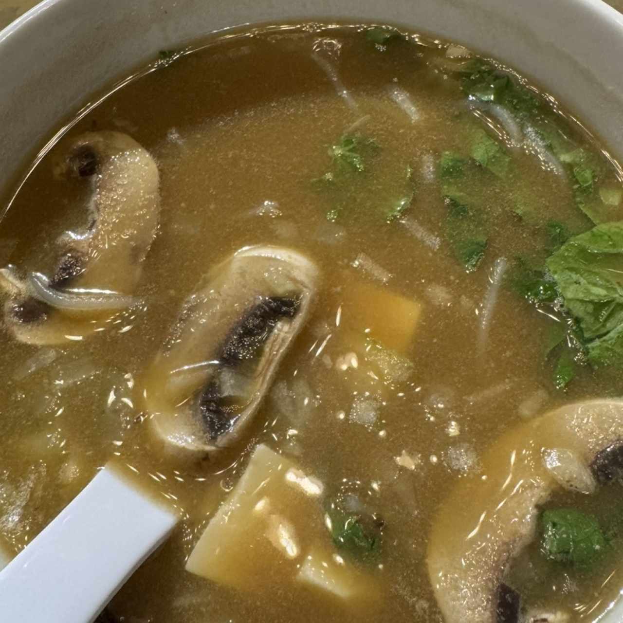 Sopas Sagradas - Miso Nación