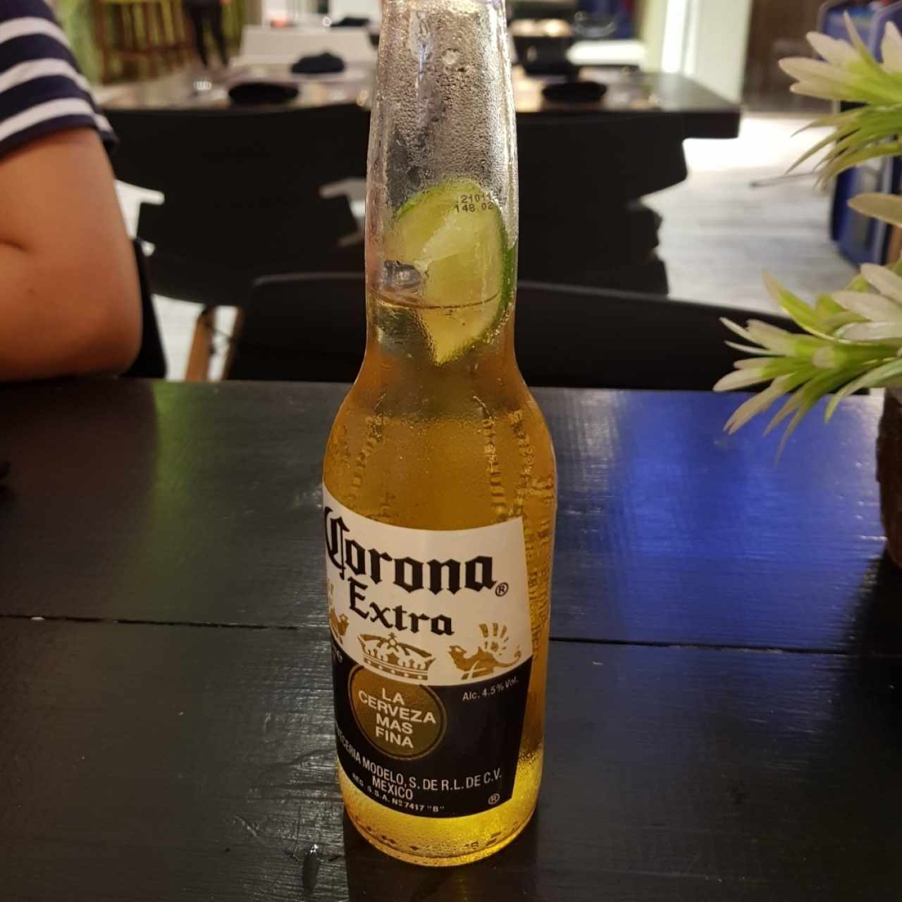 cerveza