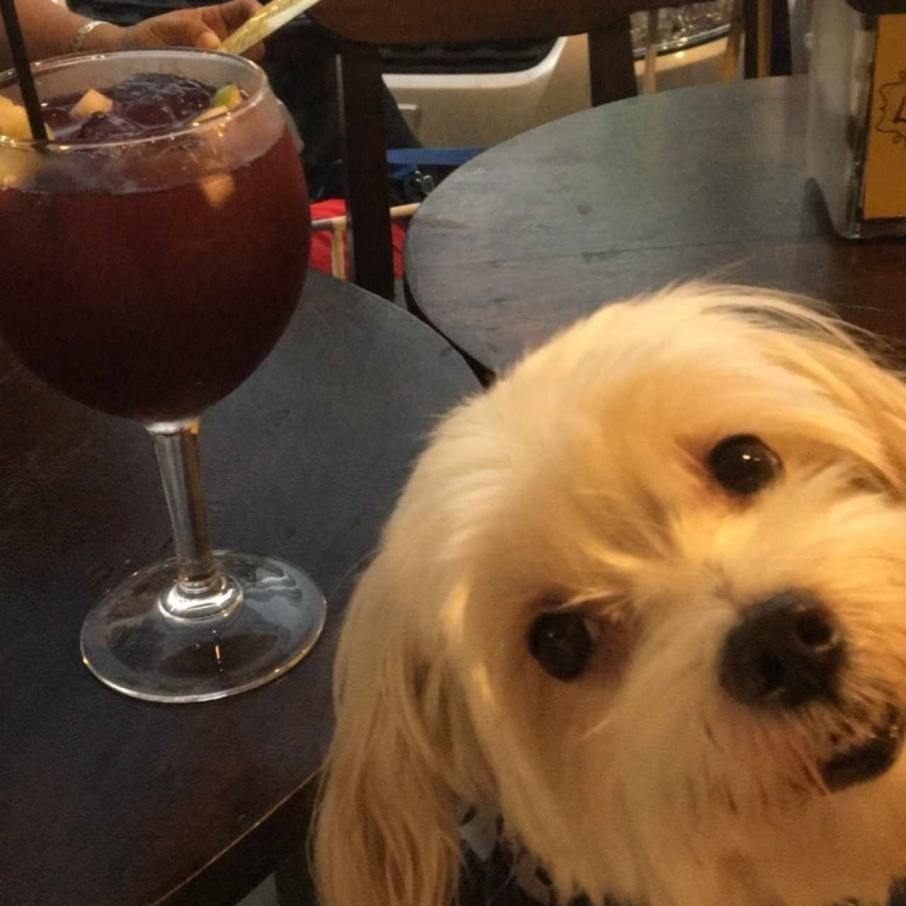 Sangria 🍷