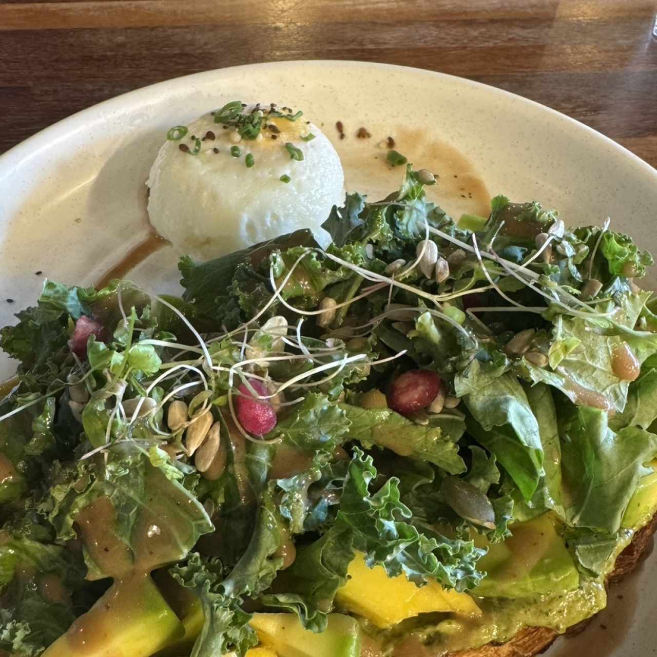 AVO TOAST 2.0