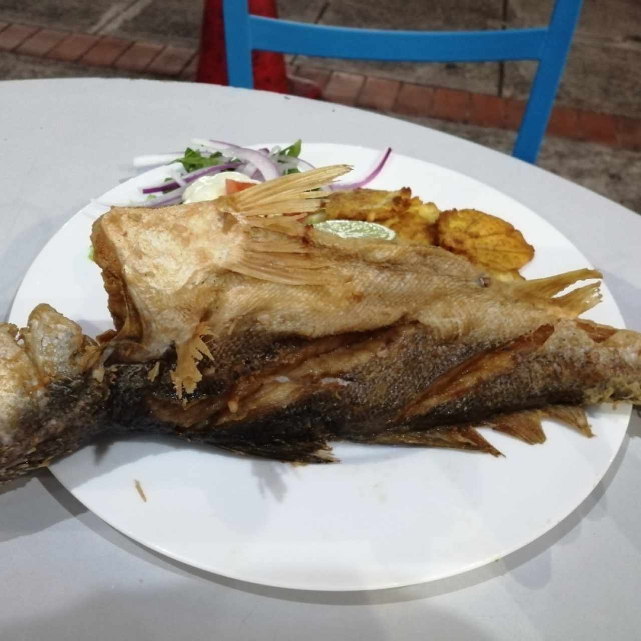 Corvina frita