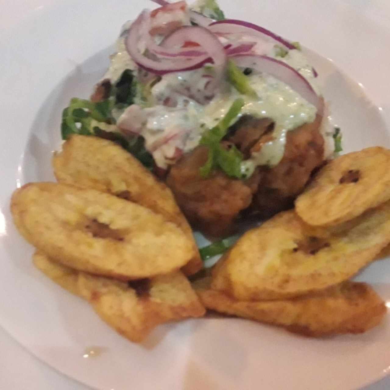 Platos Varios - Ceviche Frito