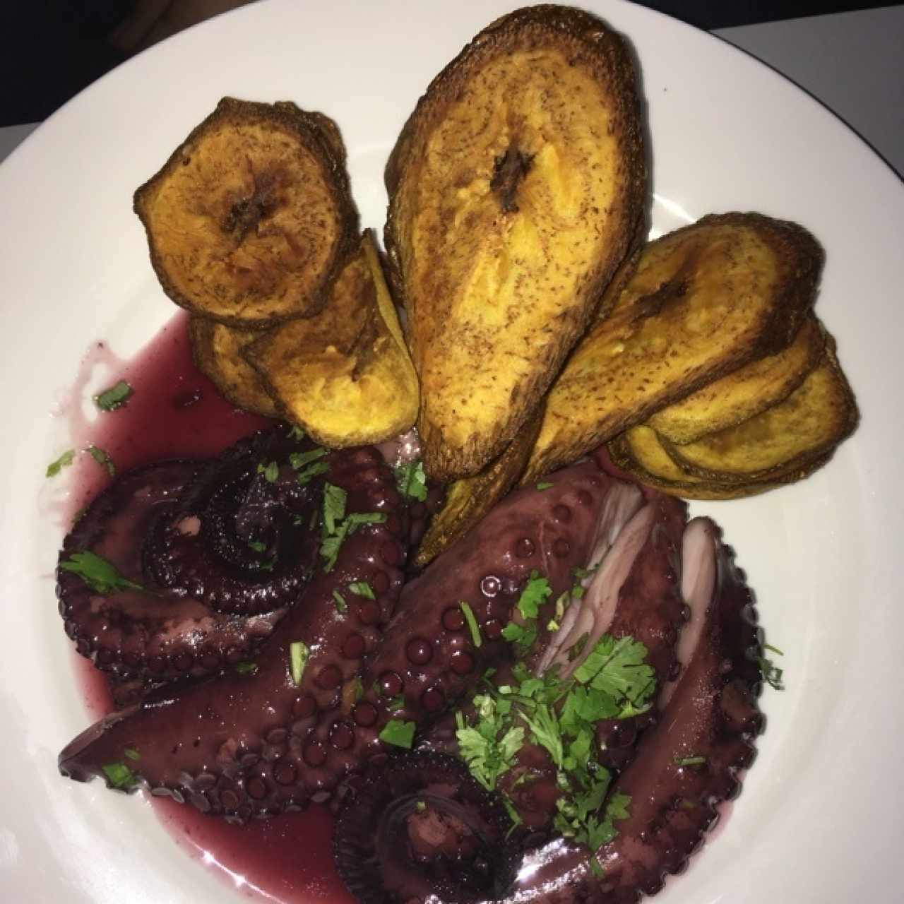 Pulpo