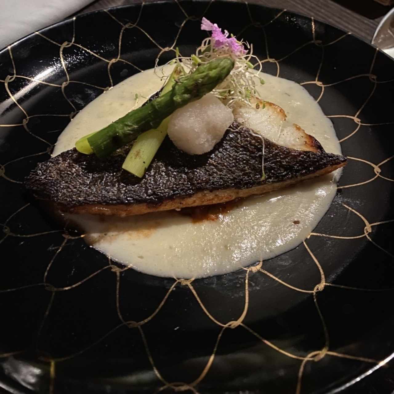 Miso black fish